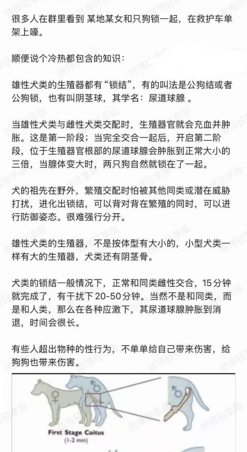 奇女子饥渴难耐 为泄欲竟强奸爱犬 不料事后难以拔出被120拉走 现场完整版视频曝光！