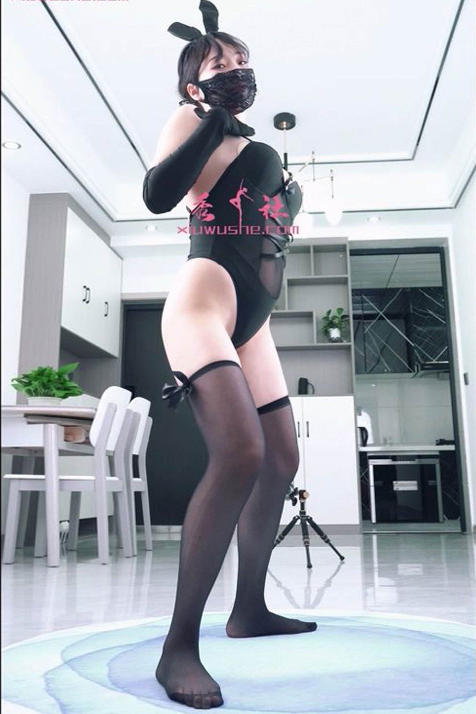 秀舞社 小米5期-6V/5G