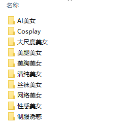 VIP写真资源2.6万套图77G+视频 内附采集工具