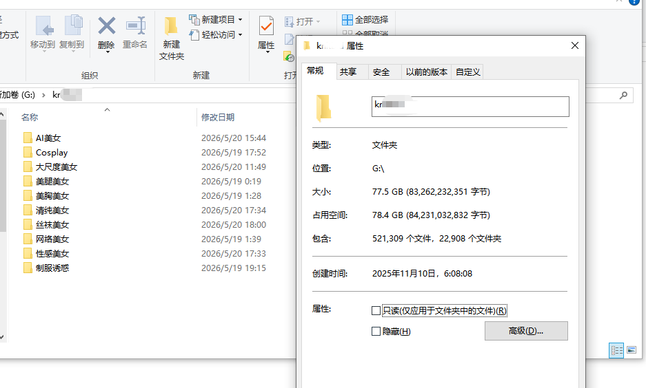 VIP写真资源2.6万套图77G+视频 内附采集工具